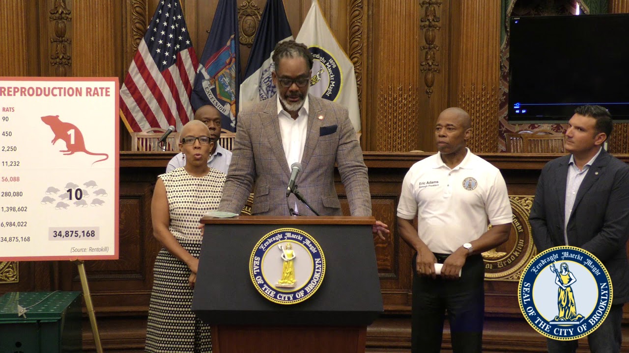 One Brooklyn-- Borough Hall Rat Pilot Program Kills 100+ Rats in a Month