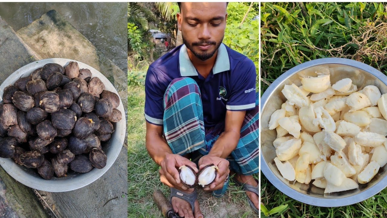 Unique Bengali Recipe | Kernel Morobba from the Village Cooking