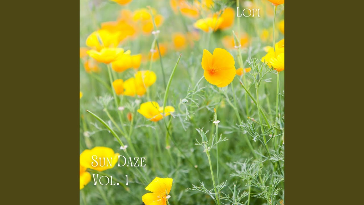 Sweet Spring Morning