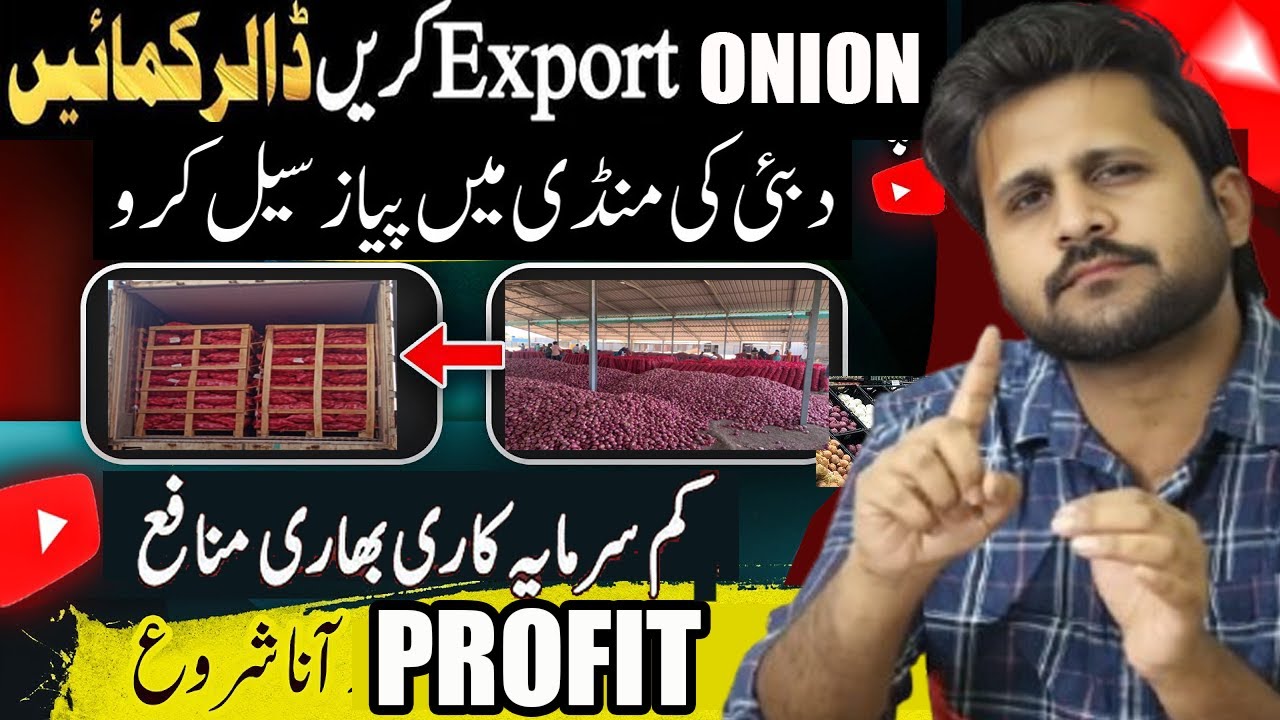 How to export onion from Pakistan to Dubai |Dubai Onion Export |Dubai Business#importexportbusiness