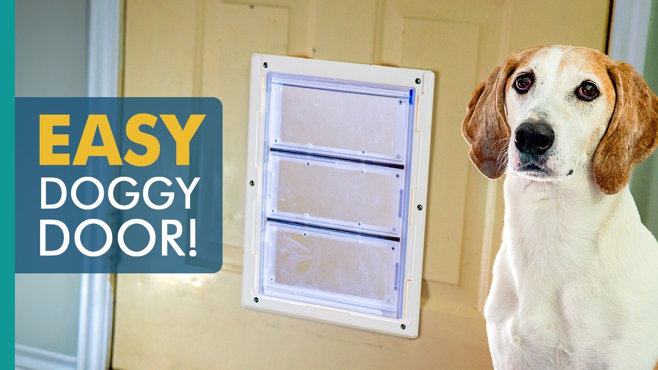 How to install an Air Seal pet door in a metal door - DIY