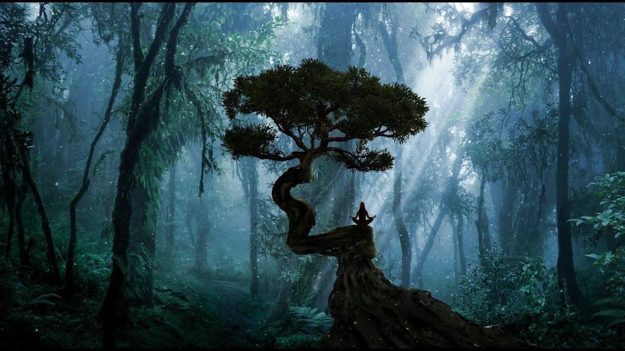 Meditation | Connect with Spirit Guides | 20 minutes