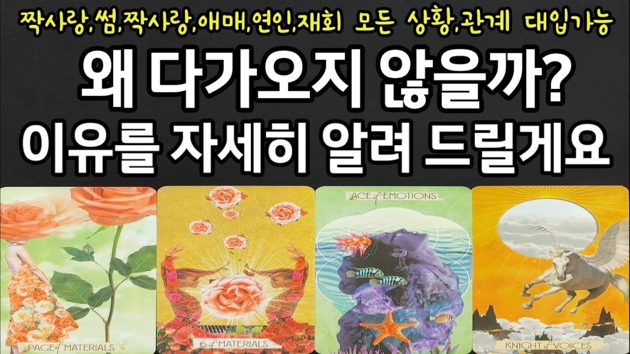 그사람은 왜 닥가오지 않을까?이유를 자세히 디테일하게 파헤쳐드릴께요,썸,짝사랑,애매,연인,재회 모든 상황,관계 대입가능,언제 다가올지,앞으로 관계흐름알려드릴께요~(#타로)