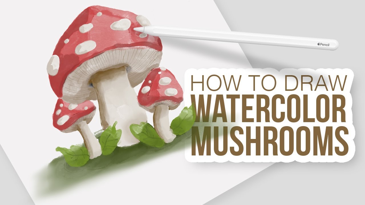 How to Draw Watercolor Mushrooms in PRocreate