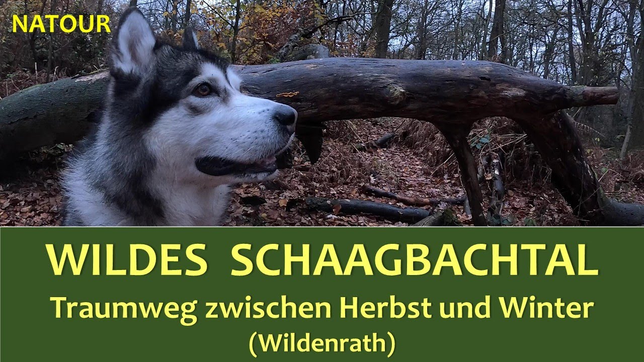 Traumweg wildes Schaagbachtal