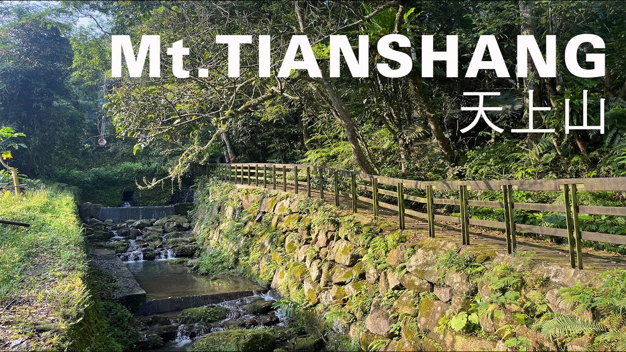 天上山環走4km，新北土城第一高峰賞桐勝地，皇帝山小百岳360度展望｜山上加美Lovely Hill