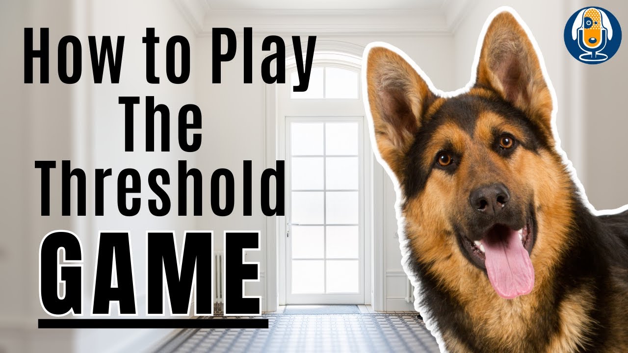 Threshold Game For Dogs: Step By Step Training Plan So You Become Your Dog's Center Of Attention