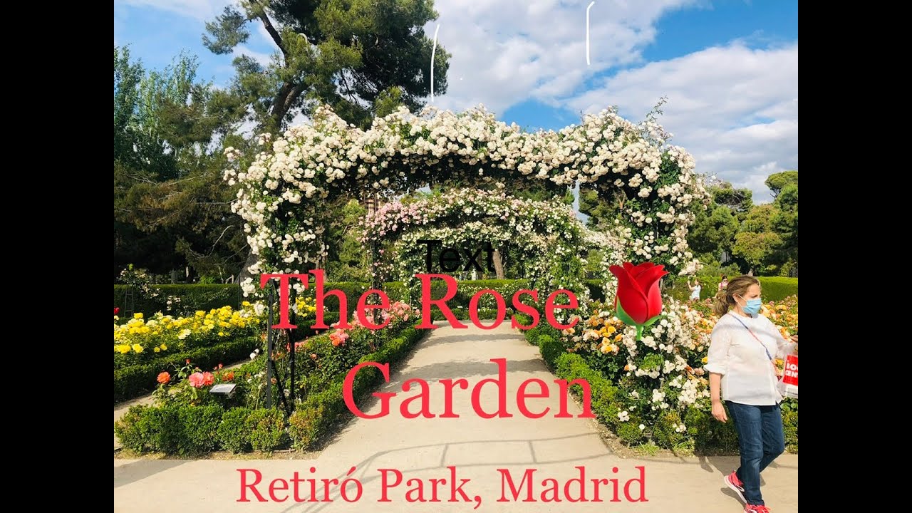 The Rose Garden | La Rosaleda Retiro, Madrid