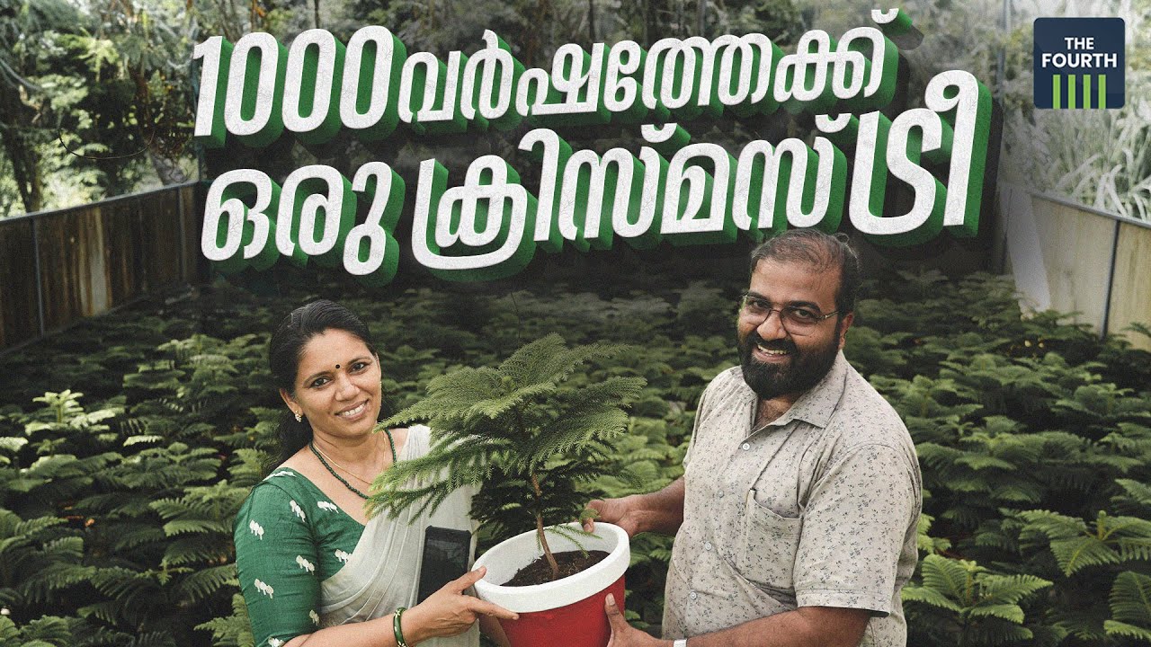 1000 വര്‍ഷത്തേക്ക് ഒരു ക്രിസ്മസ് ട്രീ | Christmas Tree Scheme | Department of Agriculture of Kerala