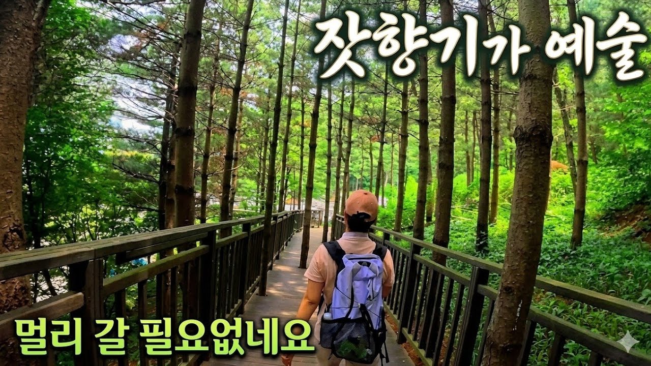 🚈 서울에 이런 멋진 곳이?! 지하철역에서 5분만에 만나는 환상적인 8Km 잣향기 피톤치드길/걷기좋은길/트레킹명소/둘레길