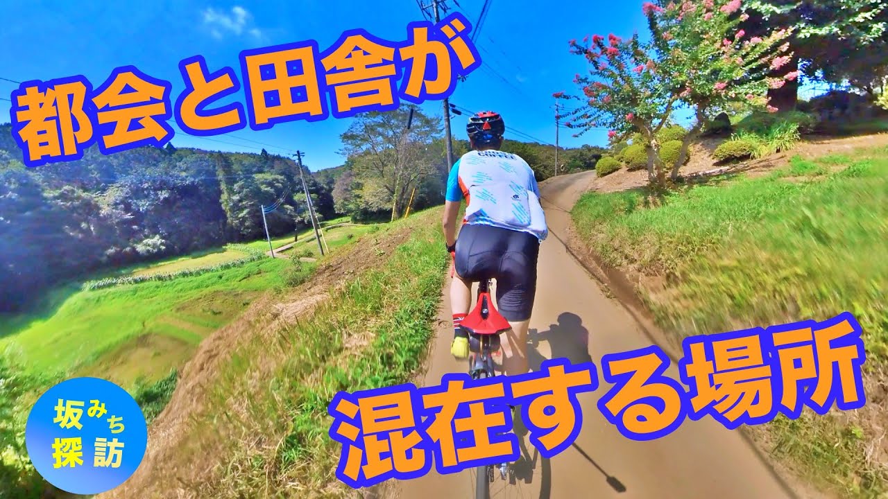 【坂#41】裏尾根幹 中編〜坂みち探訪