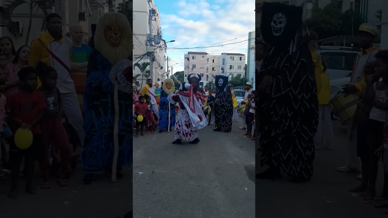Folia de Reis Estrela Guia amarela e branca em Triagem
