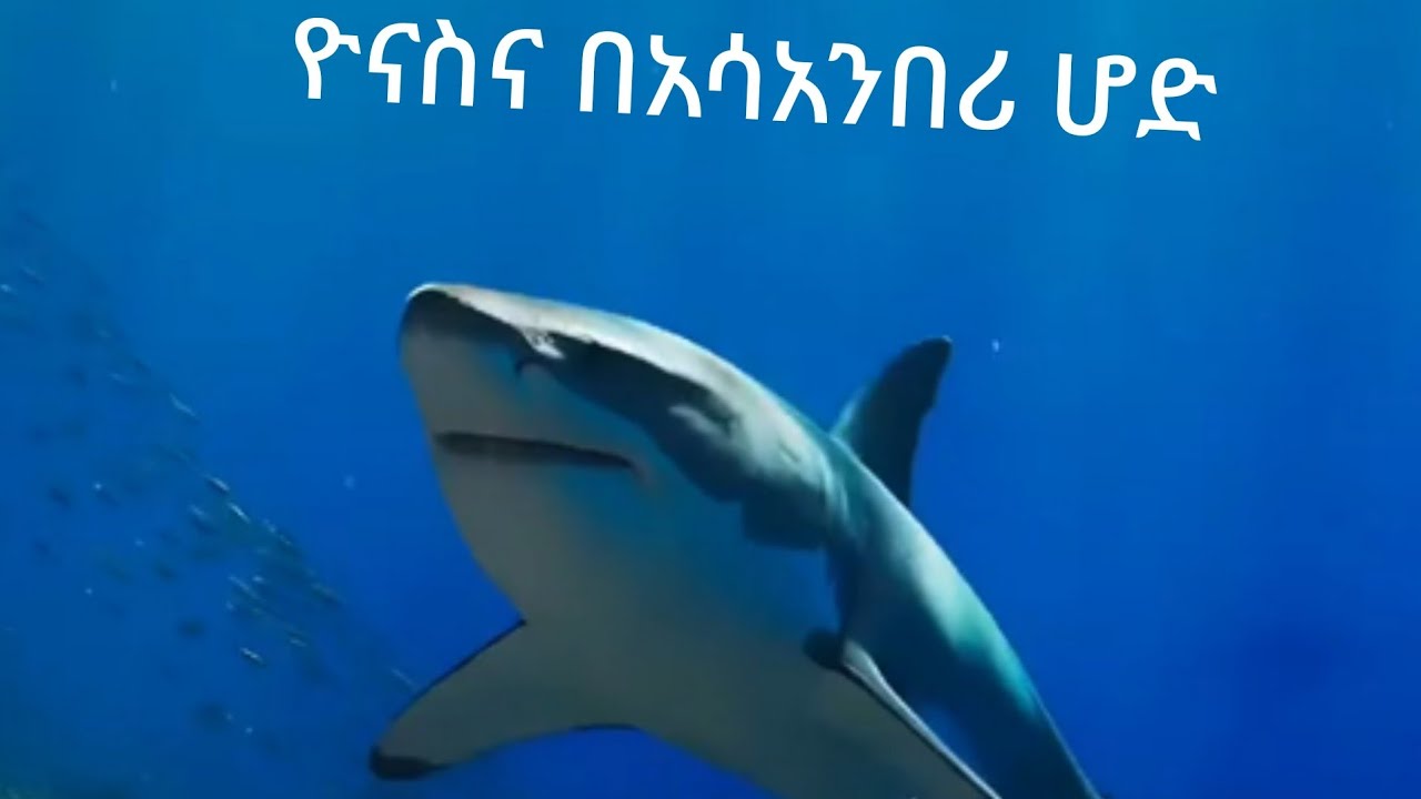 የነነዌ ፆም የነብዩ ዮናስ ታሪክ