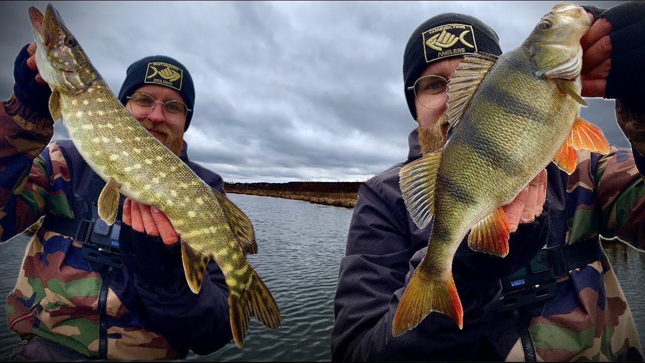 ТРОФЕЙНИЙ ОКУНЬ ЩУКА|Graphiteleader Corto UX 23GCORUS-642L-HS