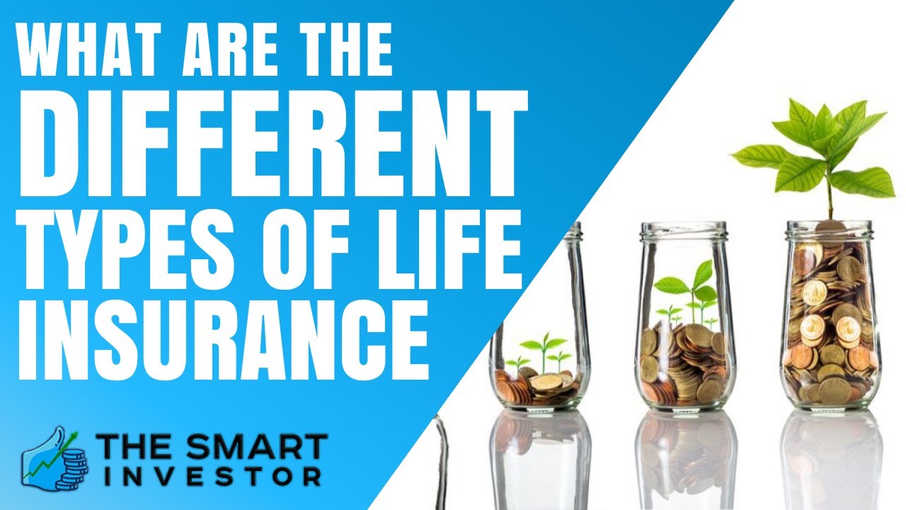 What Are The Different Types Of Life Insurance? Guide For Beginners