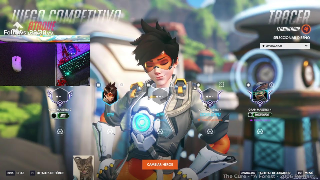 🔴DPS RANKED [better on twitch]🔴I LOVE THIS GAME SO MUCH OMG WOW🐱
