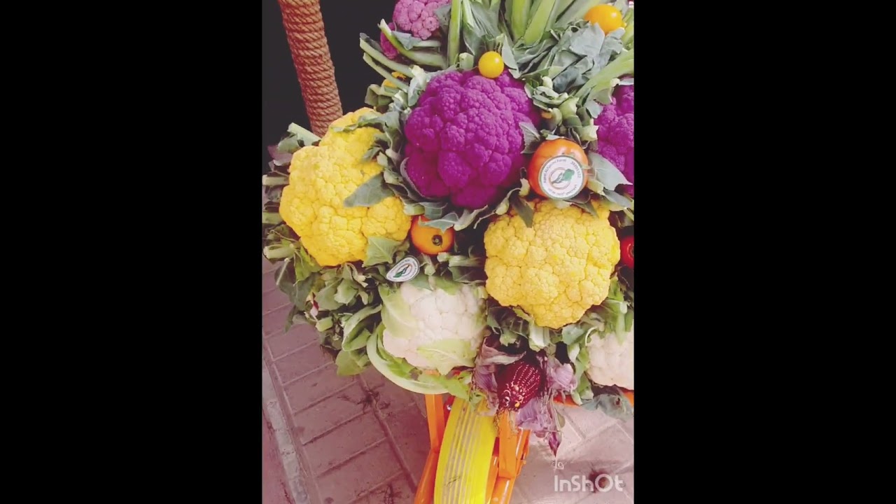 A day in NatureW/Nature gifts🎁😍✨️☺️BahrainFarmer'sMarket🇧🇭Bahrain vlogs🇧🇭#farmersmarket#naturelovers