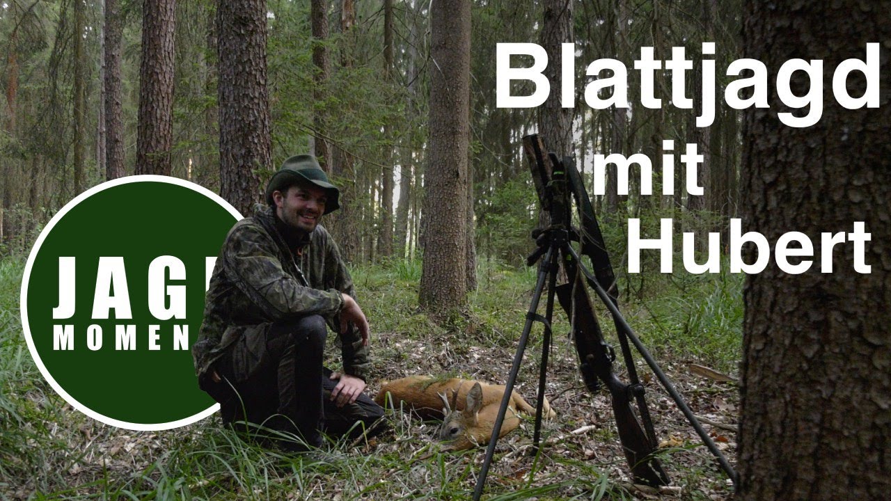 Blattjagd im Wald mit Hubert | JagdMomente mit Freunden | Folge 6