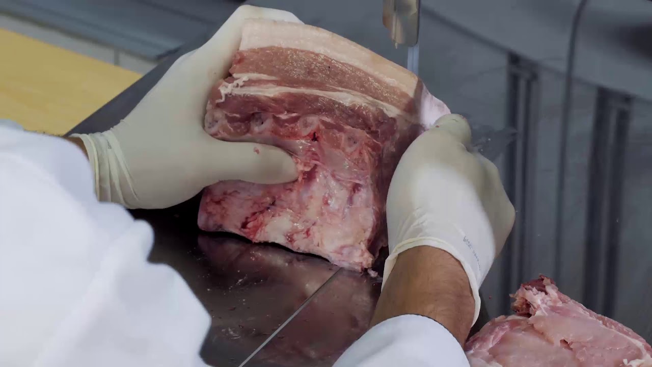 Serra Fita com Picador de Carnes Industriais Metvisa - SFP 8