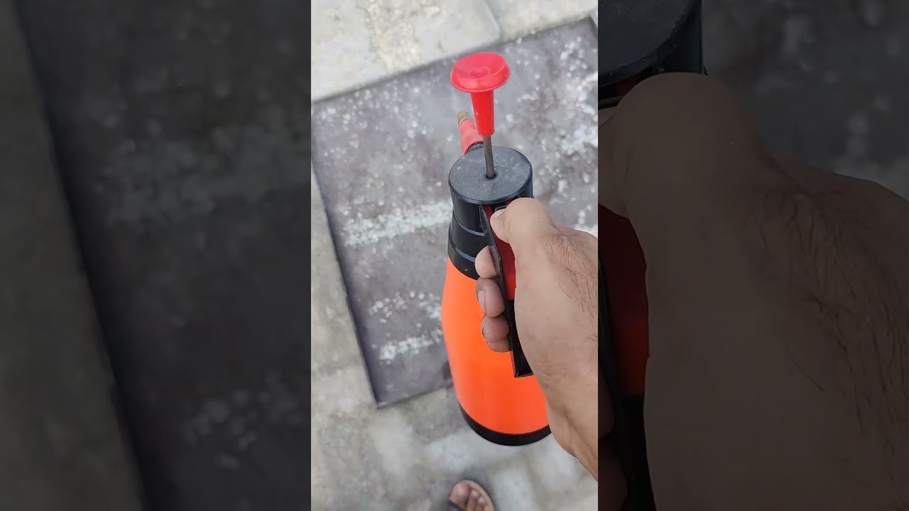 disinfect birds room virkon s 😉😉🥳 #shorts #disinfect aviary