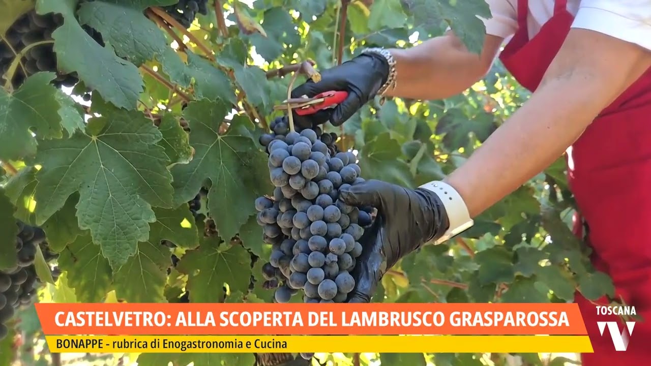 2025-10-18 BONAPPE - CASTELVETRO: ALLA SCOPERTA DEL LAMBRUSCO GRASPAROSSA
