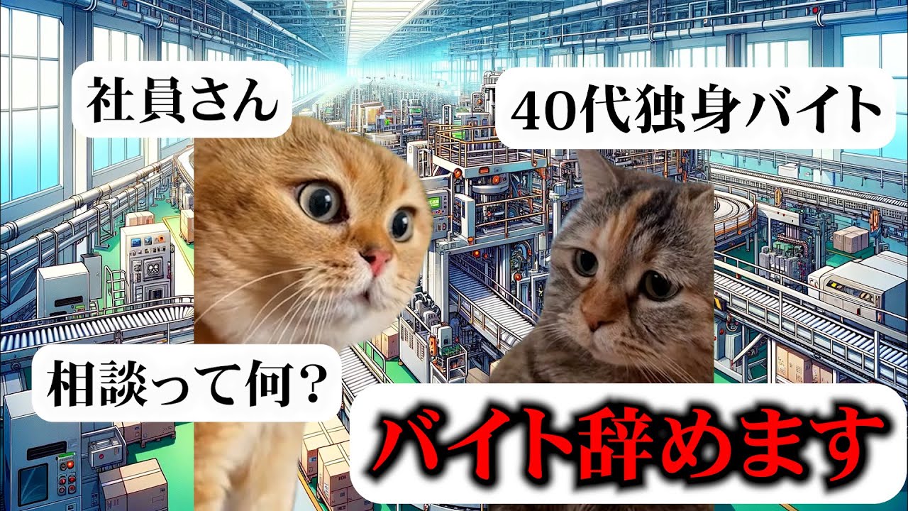 【猫ミーム】40代独身 バイトを辞める...