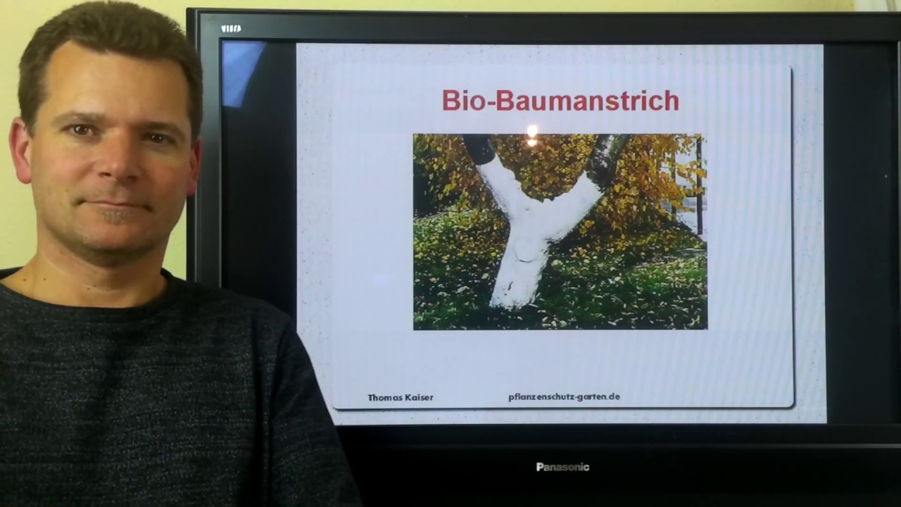 Bio Baumanstrich Neudorff