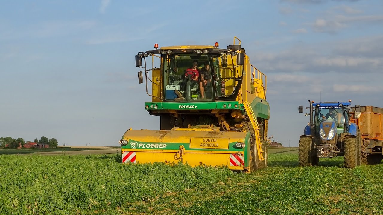 Récolte de pois de conserve ! x2 New Ploeger EPD540e