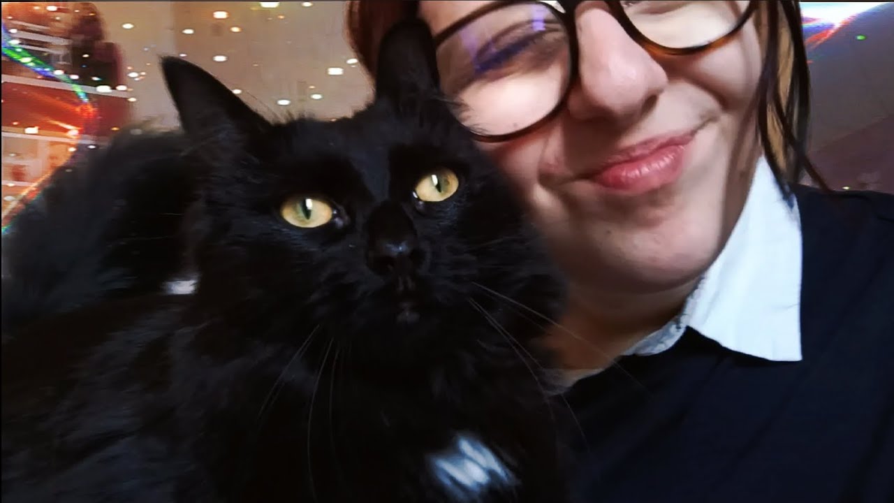 The Last One, I'm Going To Cry... - Weekly vlog - S01E38