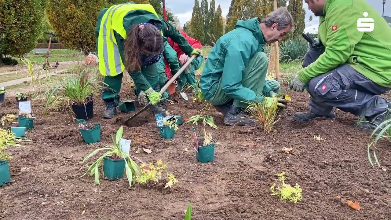 Grün statt Grau - Mustergärten-Projekt in Jülich