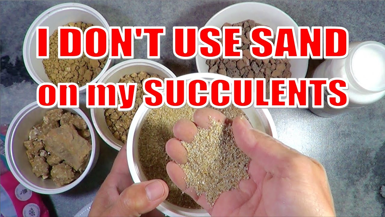 Decomposed GRANITE vs SAND on Succulents