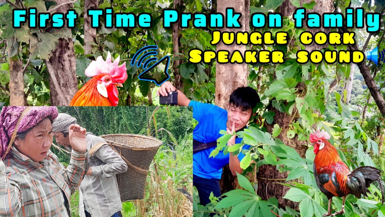 First time prank on family members Jungle cork🐓 sound 🤣🤣in forest so funny#Lonjoyvlogs😁 