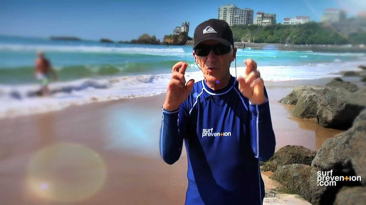 Joël de Rosnay : sa préparation pour le surf