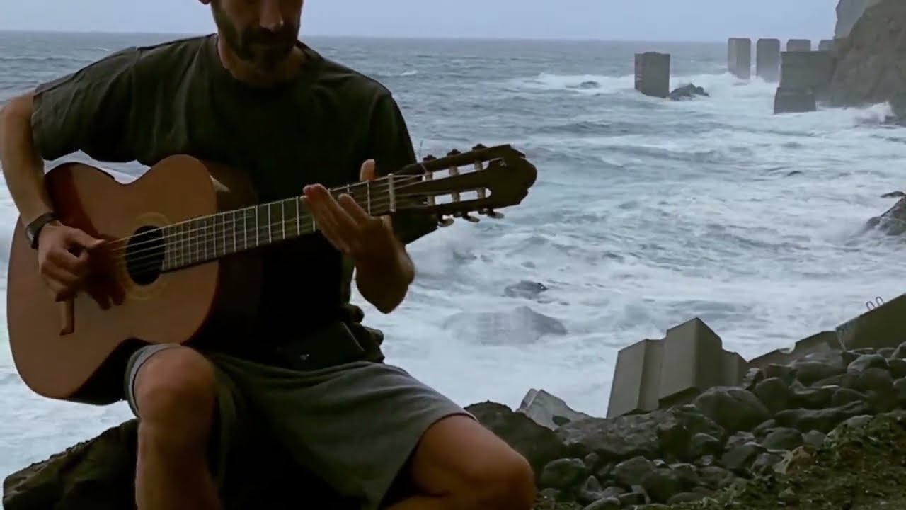 Tchaikovsky - Dance of the Sugar Plum Fairy - classical guitar