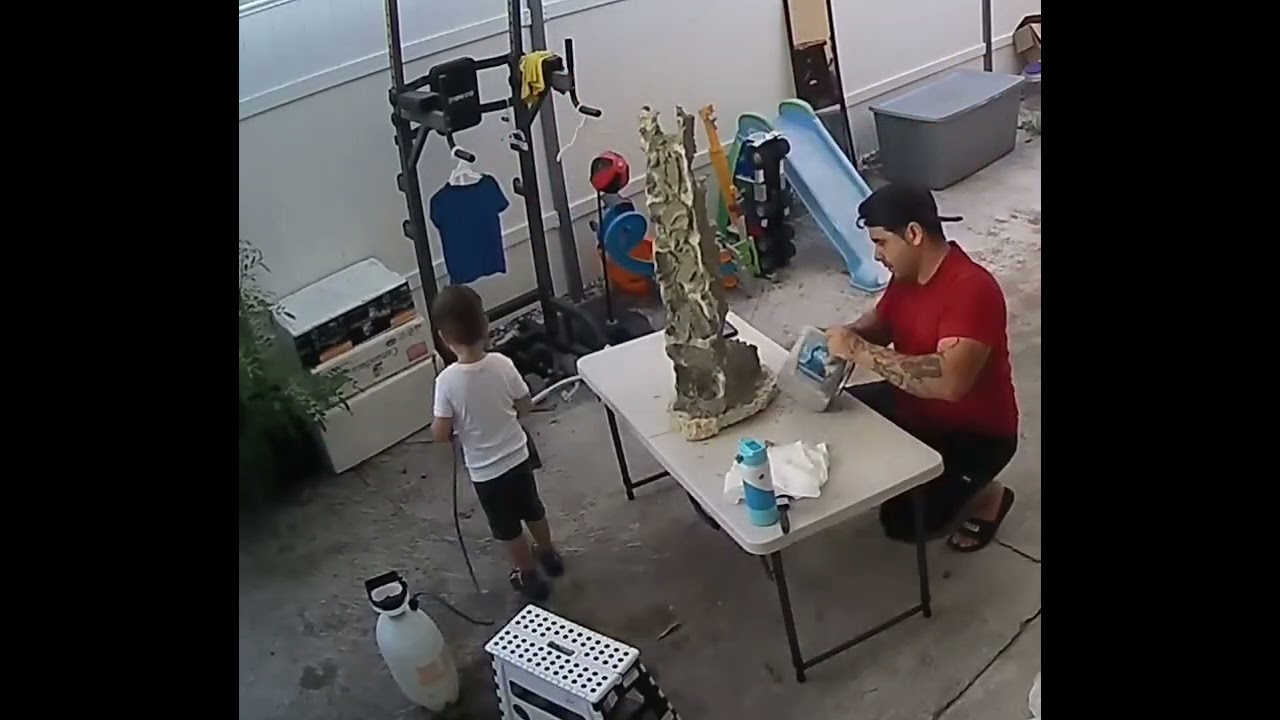 Roca para Penjin Bonsai y el Mejor Ayudante 🤪