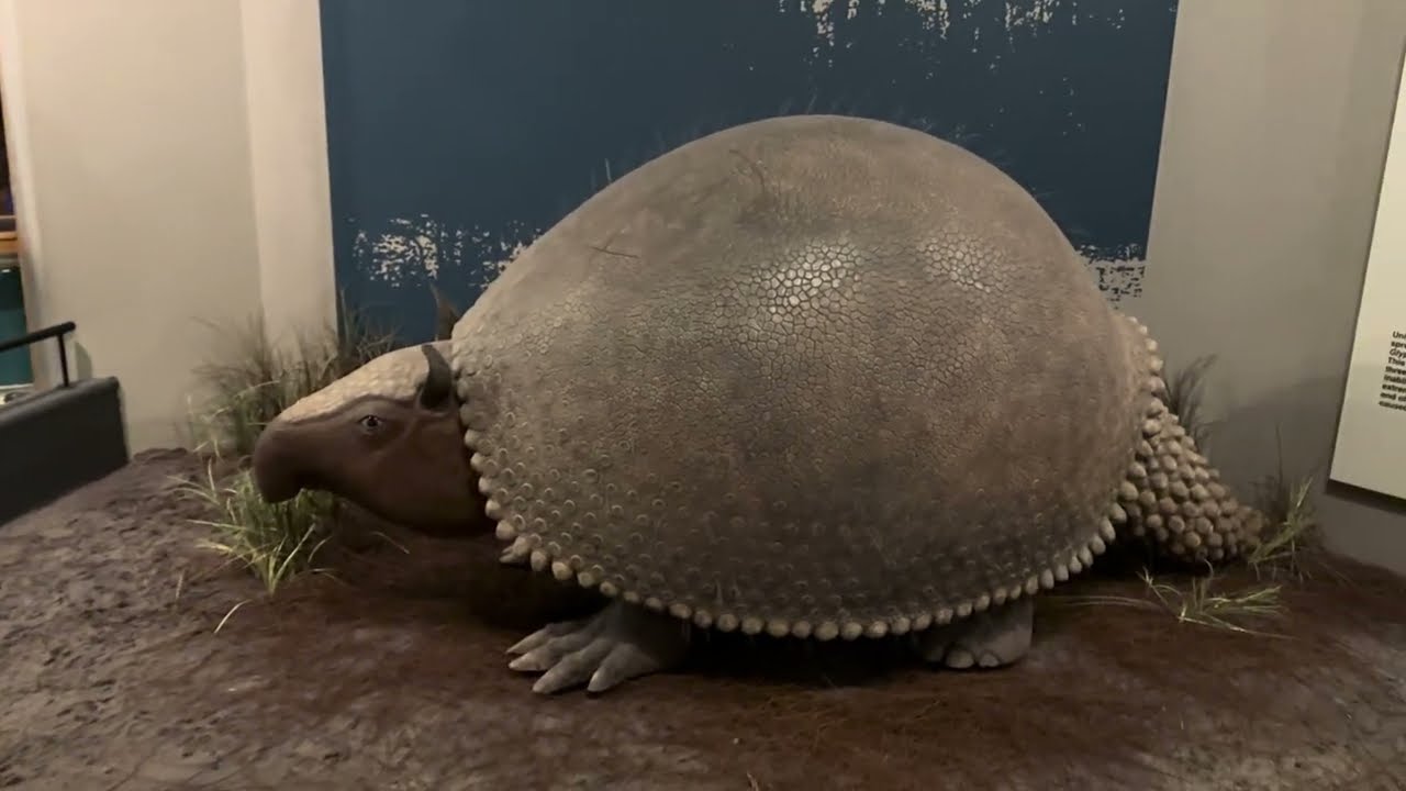 SOUTH CAROLINA STATE MUSEUM FULL TOUR