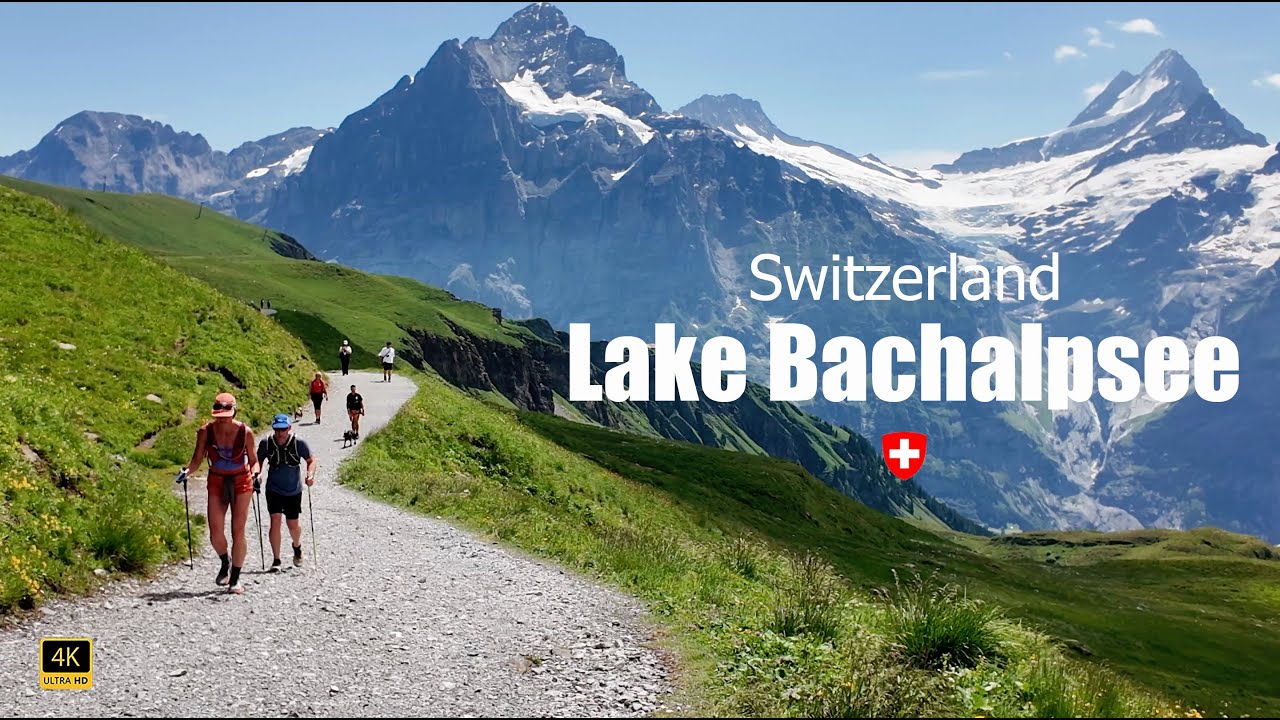 Alpine Stroll | Lake Bachalpsee - Grindelwald First Hiking Tour, Switzerland 4K 🇨🇭 