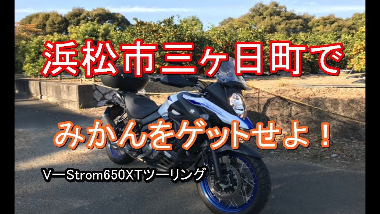 三ヶ日みかんをGETせよ！ツーリング！