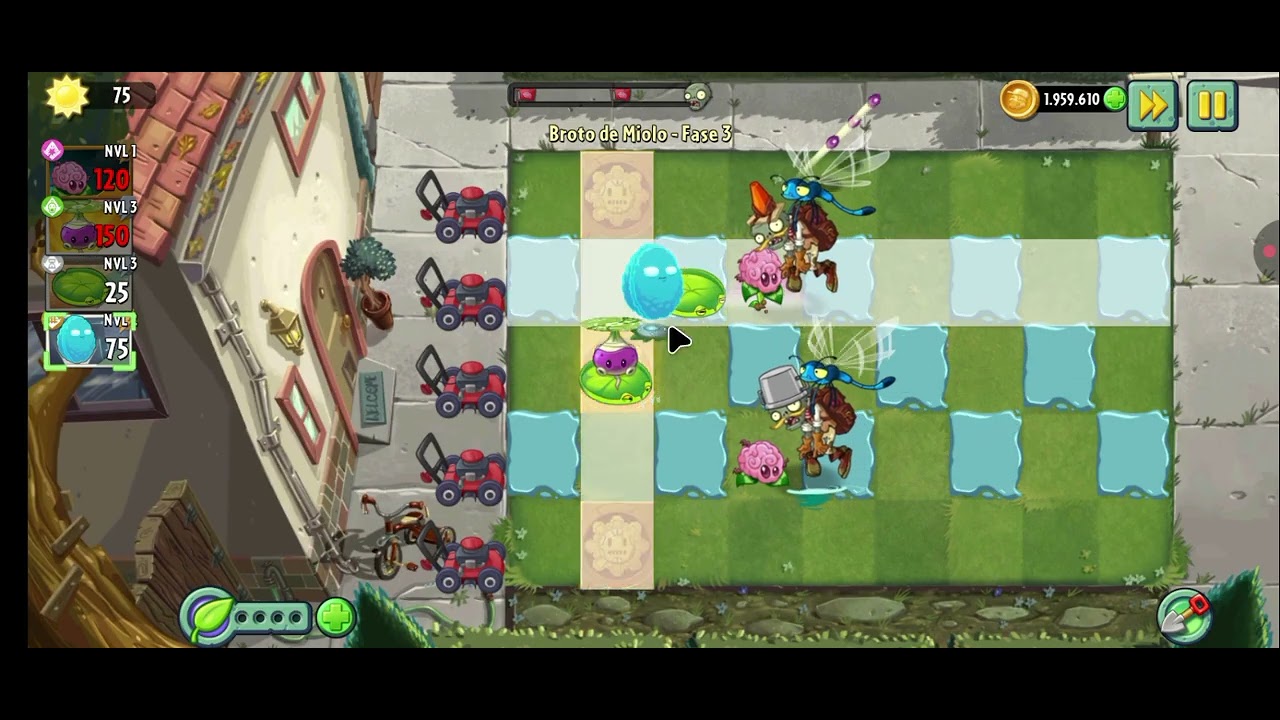 Jogando evento planta da semana de broto de miolu