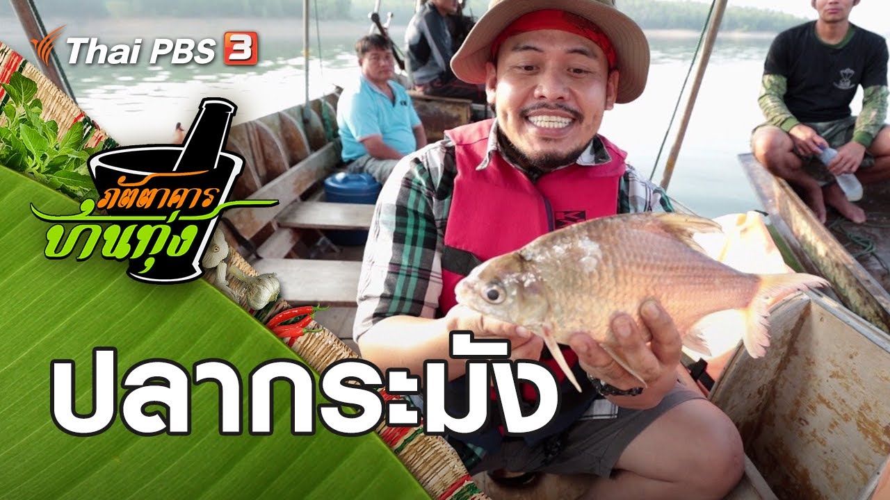 ปลากระมัง : ภัตตาคารบ้านทุ่ง (17 ส.ค. 62)