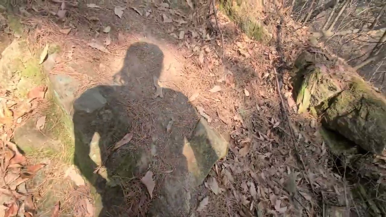 도선스님마애불상