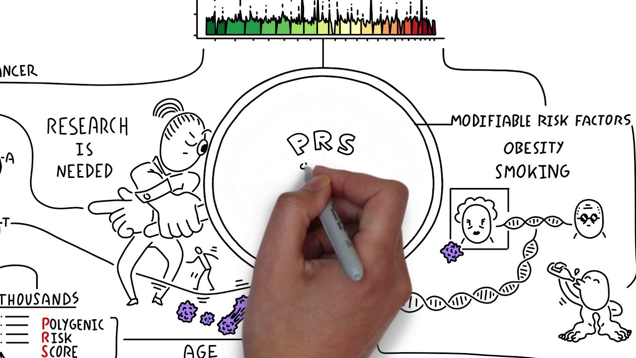 Integrating polygenic risk scores with modifiable risk factors improves cancer risk score