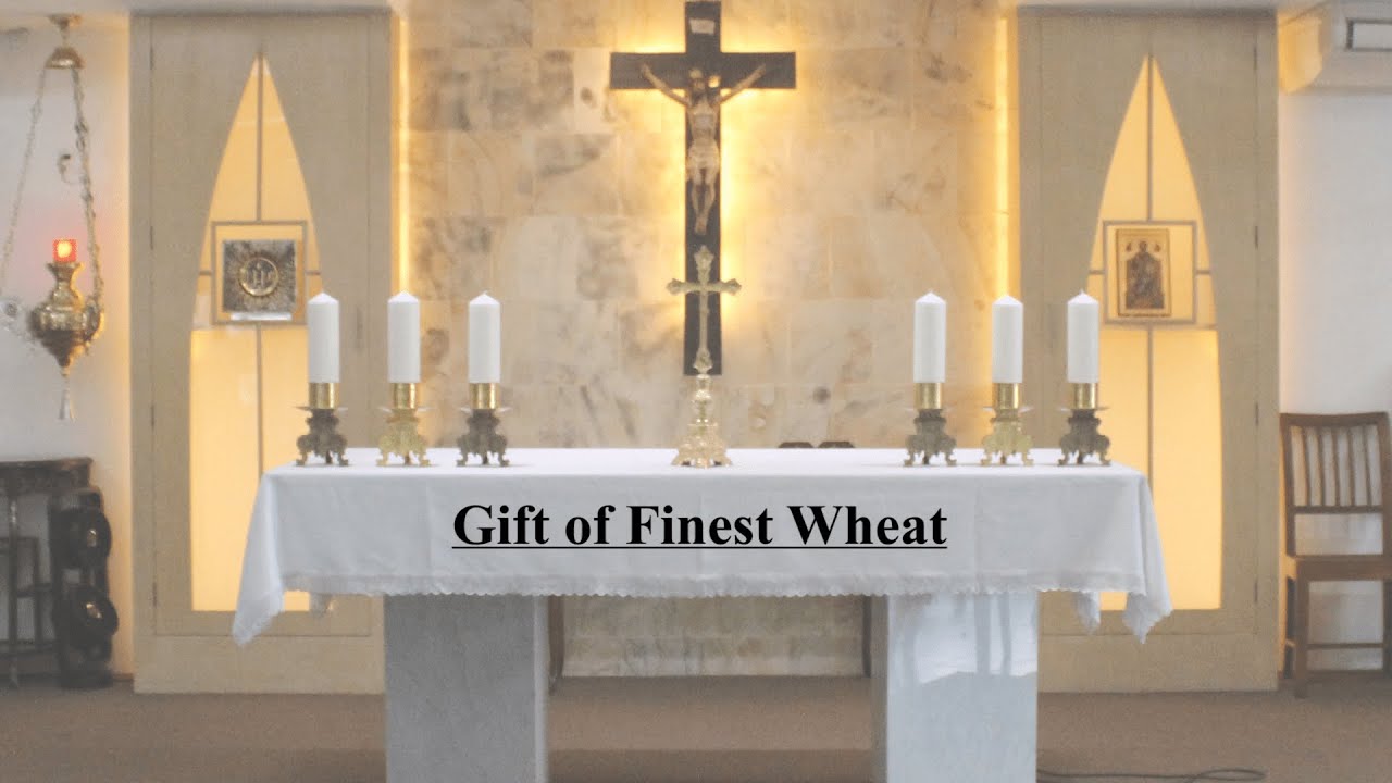 Gift of Finest Wheat