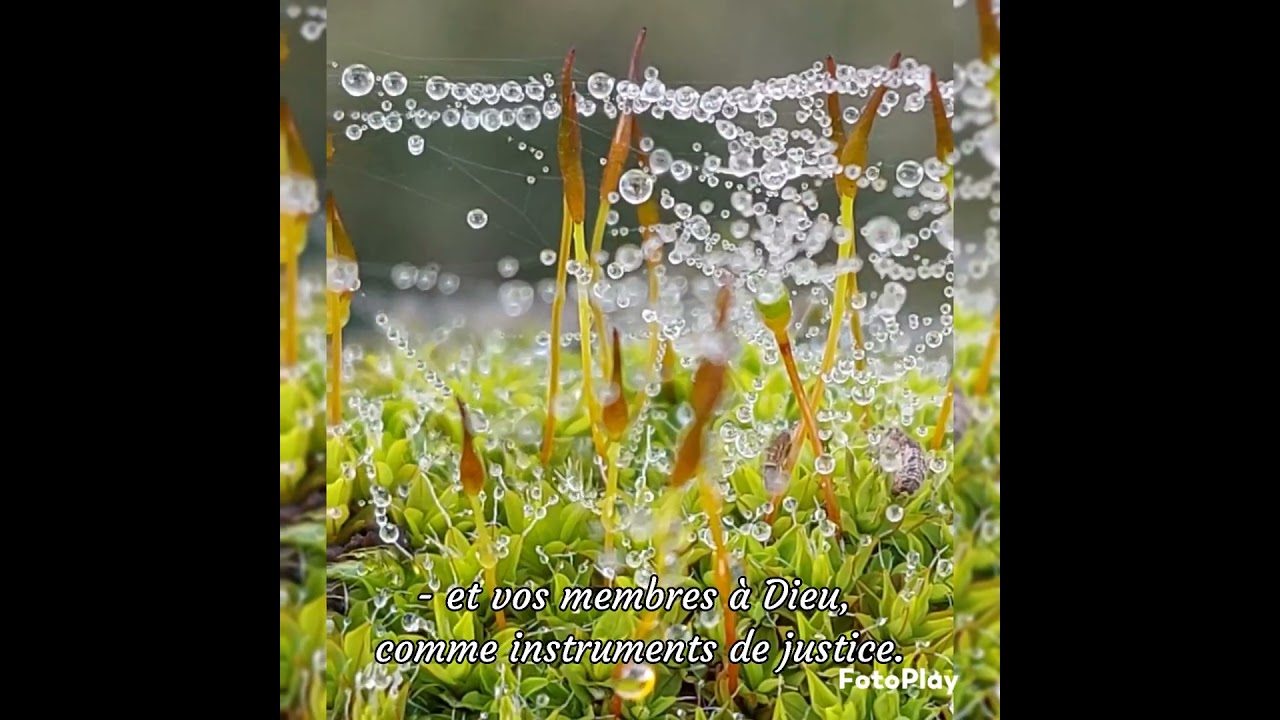 Romains 6:13-14