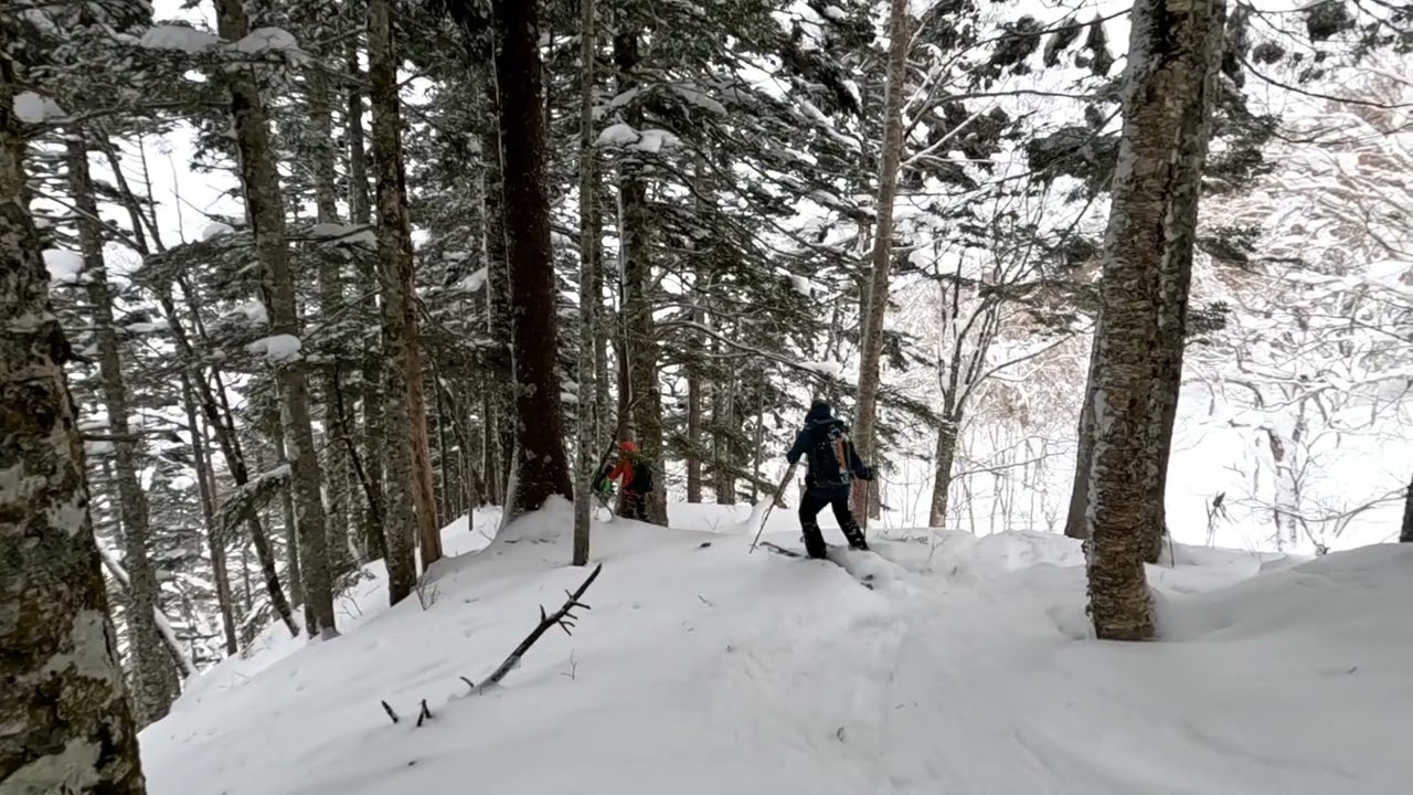 20260201輝山