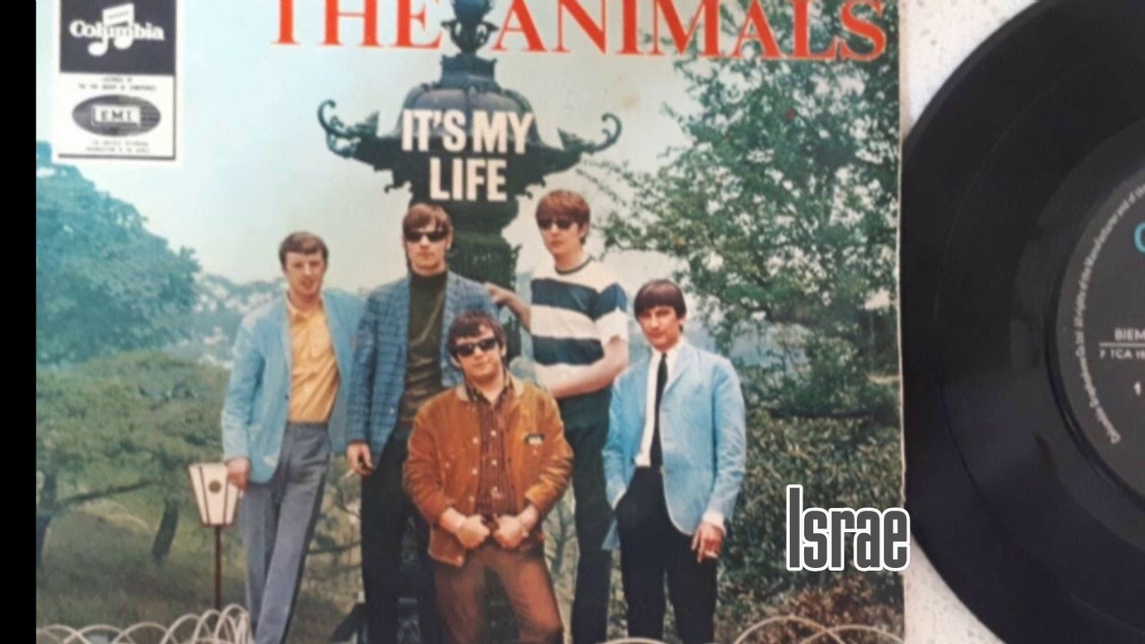 IT'S MY LIFE--THE ANIMALS (NEW ENHANCED VERSION)  1965