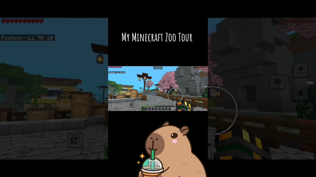 My Minecraft Zoo Tour | Minecraft  Naturalist & Wildlife Addon #minecraft #minecraftzoo #naturalist