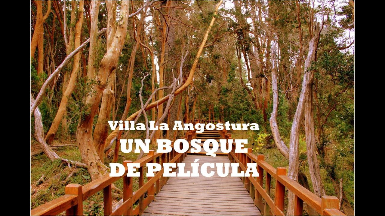 Bosque de Arrayanes y Lago Nahuel Huapi | Villa La Angostura Neuquén Argentina #10