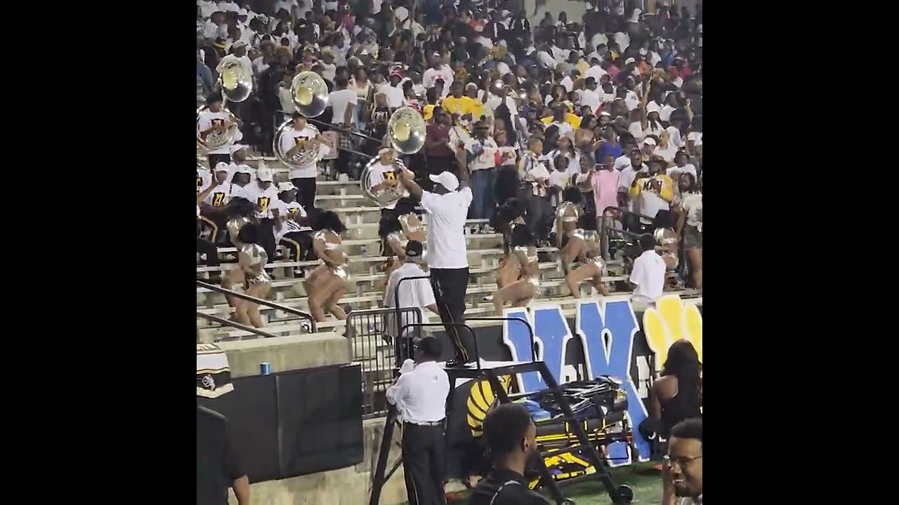 ASU Stingettes 2023 LDC - WAB Stand Routine (SU)