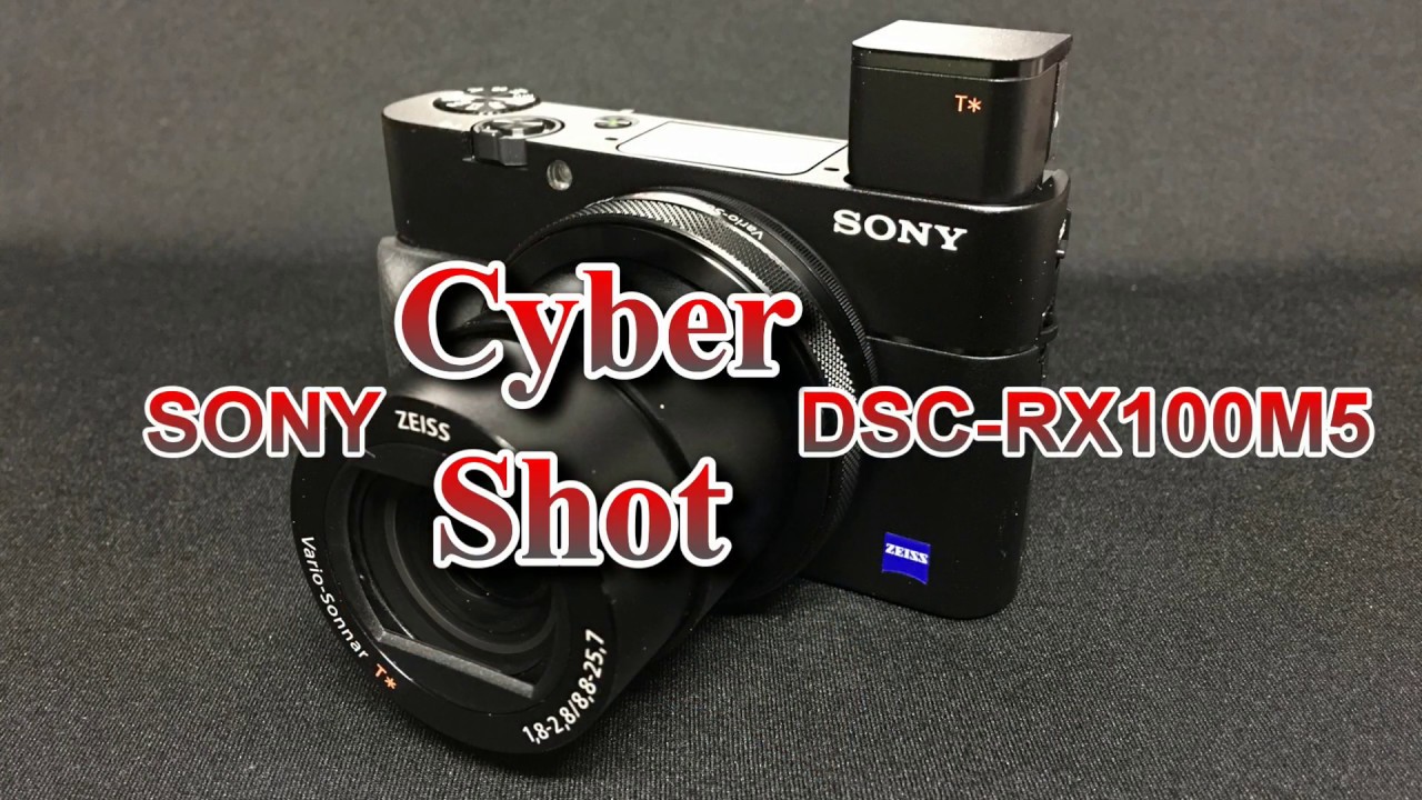 SONY RX100M5 動画画質比べ